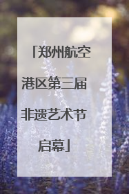 郑州航空港区第三届非遗艺术节启幕