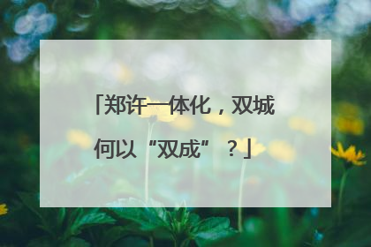郑许一体化，双城何以“双成”？