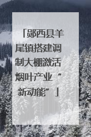 郧西县羊尾镇搭建调制大棚激活烟叶产业“新动能”