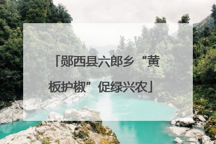 郧西县六郎乡“黄板护椒”促绿兴农
