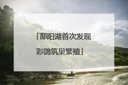 鄱阳湖首次发现彩鹮筑巢繁殖