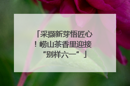 采撷新芽悟匠心！崂山茶香里迎接“别样六一”