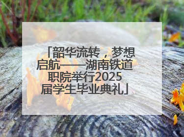 韶华流转，梦想启航——湖南铁道职院举行2025届学生毕业典礼