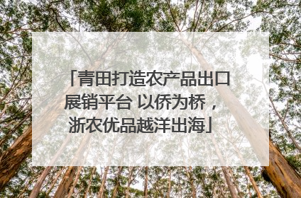 青田打造农产品出口展销平台 以侨为桥，浙农优品越洋出海