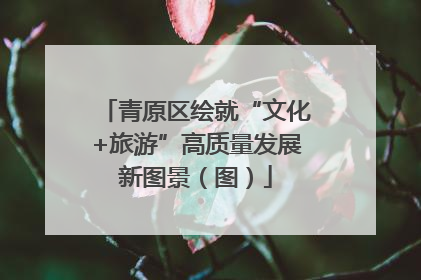 青原区绘就“文化+旅游”高质量发展新图景（图）