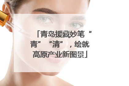 青岛援藏妙笔“青”“清”，绘就高原产业新图景