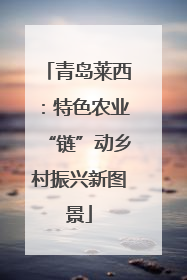 青岛莱西：特色农业“链”动乡村振兴新图景