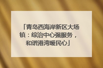 青岛西海岸新区大场镇：综治中心强服务，和谐港湾暖民心