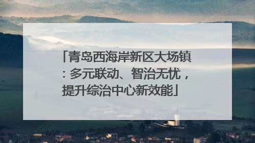 青岛西海岸新区大场镇：多元联动、智治无忧，提升综治中心新效能