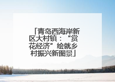 青岛西海岸新区大村镇：“赏花经济”绘就乡村振兴新图景