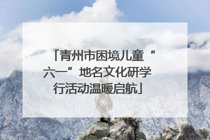 青州市困境儿童“六一”地名文化研学行活动温暖启航