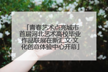 青春艺术点亮城市 首届河北艺术高校毕业作品联展在新汇文·文化创意体验中心开幕