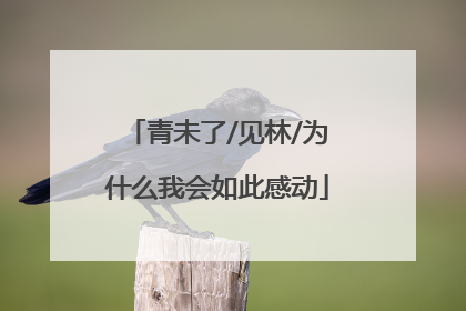 青未了/见林/为什么我会如此感动
