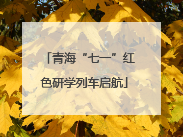 青海“七一”红色研学列车启航