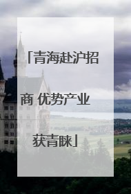 青海赴沪招商 优势产业获青睐