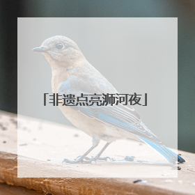 非遗点亮浉河夜