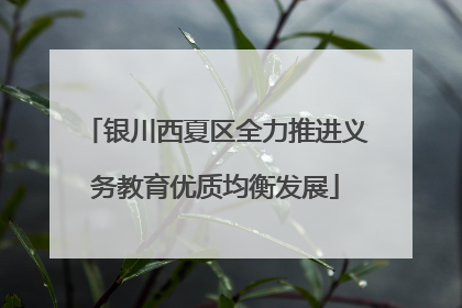 银川西夏区全力推进义务教育优质均衡发展