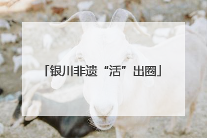 银川非遗“活”出圈