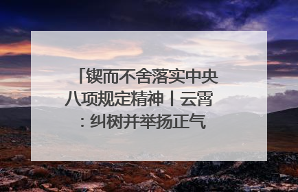 锲而不舍落实中央八项规定精神丨云霄：纠树并举扬正气 作风建设谱新章