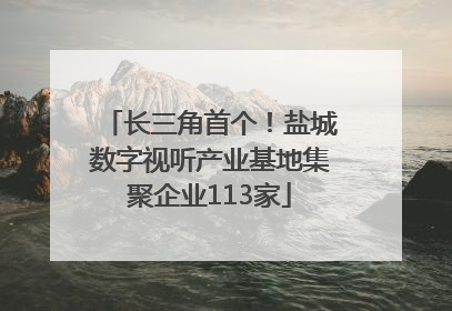 长三角首个！盐城数字视听产业基地集聚企业113家