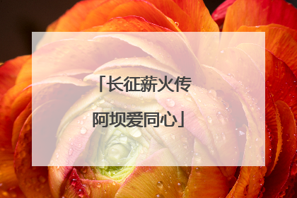 长征薪火传 阿坝爱同心