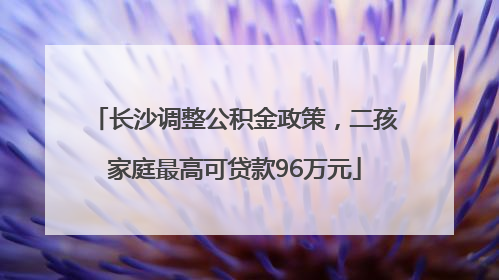 长沙调整公积金政策，二孩家庭最高可贷款96万元