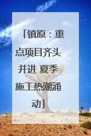 镇原：重点项目齐头并进 夏季施工热潮涌动