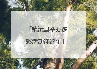 镇沅县举办多彩活动迎端午