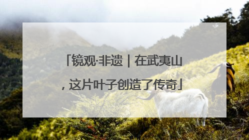 镜观·非遗｜在武夷山，这片叶子创造了传奇