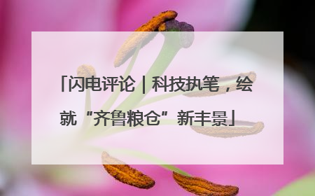 闪电评论｜科技执笔，绘就“齐鲁粮仓”新丰景