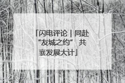 闪电评论｜同赴“友城之约” 共襄发展大计