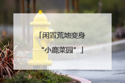 闲置荒地变身“小鹿菜园”