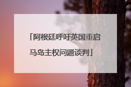 阿根廷呼吁英国重启马岛主权问题谈判