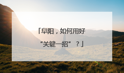 阜阳，如何用好“关键一招”？