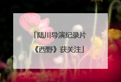 陆川导演纪录片《西野》获关注
