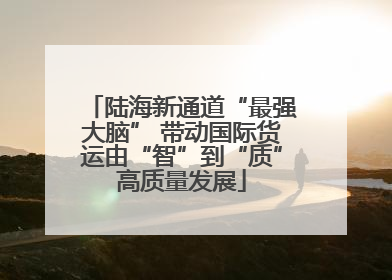 陆海新通道“最强大脑” 带动国际货运由“智”到“质”高质量发展