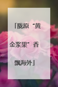 陇原“黄金浆果”香飘海外