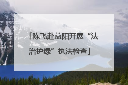 陈飞赴益阳开展“法治护绿”执法检查