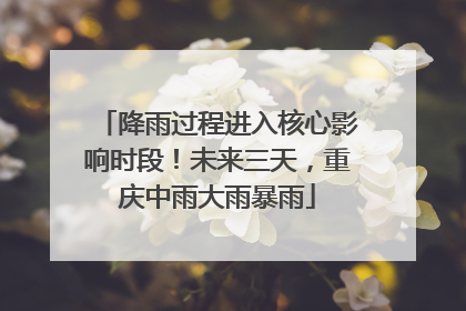 降雨过程进入核心影响时段！未来三天，重庆中雨大雨暴雨