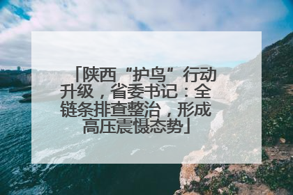 陕西“护鸟”行动升级，省委书记：全链条排查整治，形成高压震慑态势