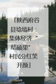 陕西府谷县埝墕村：集体经济“结硕果” 村民分红笑开颜