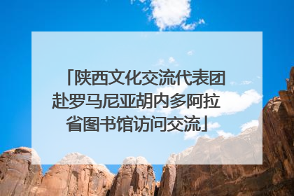 陕西文化交流代表团赴罗马尼亚胡内多阿拉省图书馆访问交流