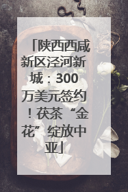 陕西西咸新区泾河新城：300万美元签约！茯茶“金花”绽放中亚