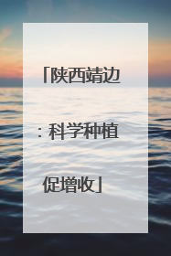 陕西靖边：科学种植促增收