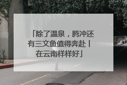 除了温泉，腾冲还有三文鱼值得奔赴丨在云南样样好
