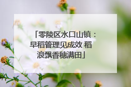 零陵区水口山镇：早稻管理见成效 稻浪飘香穗满田