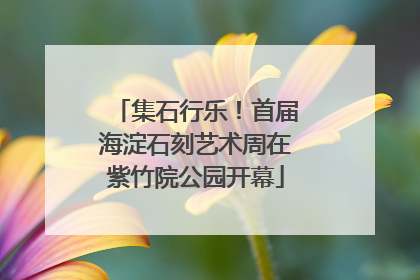 集石行乐！首届海淀石刻艺术周在紫竹院公园开幕
