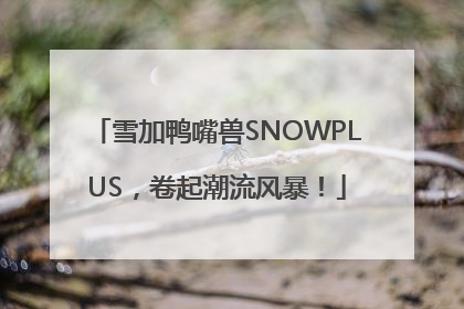 雪加鸭嘴兽SNOWPLUS，卷起潮流风暴！