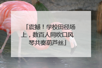 震撼！学校田径场上，数百人同吹口风琴共奏葫芦丝