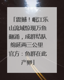 震撼！岷江乐山流域惊现万鱼翻涌，成群结队绵延两三公里 官方：鱼群在此产卵